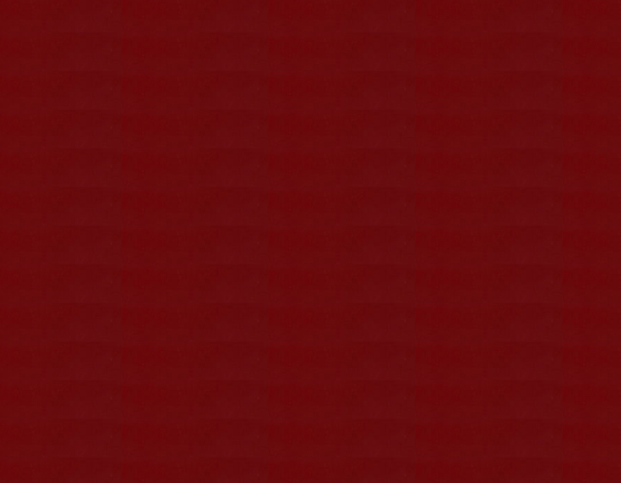 国标R04