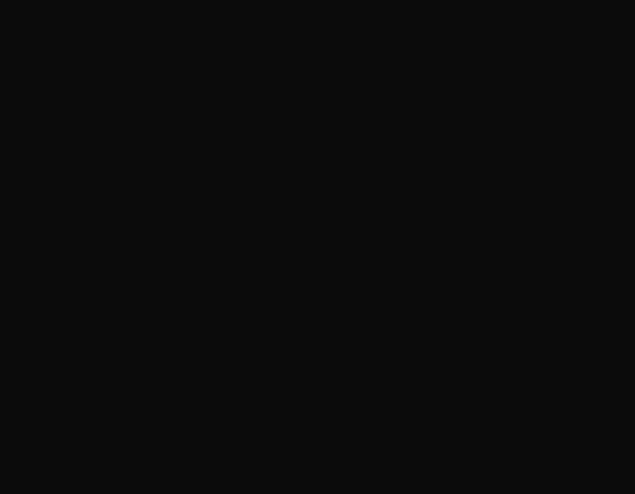 RAL：9004