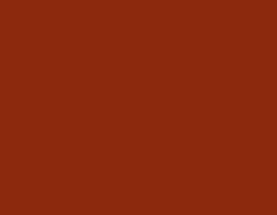 RAL：8004