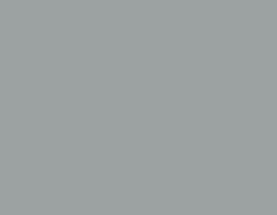 Grey149